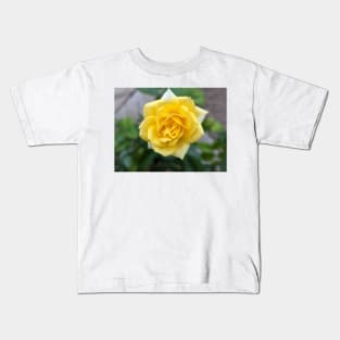 Yellow Rose Photographic Image Kids T-Shirt